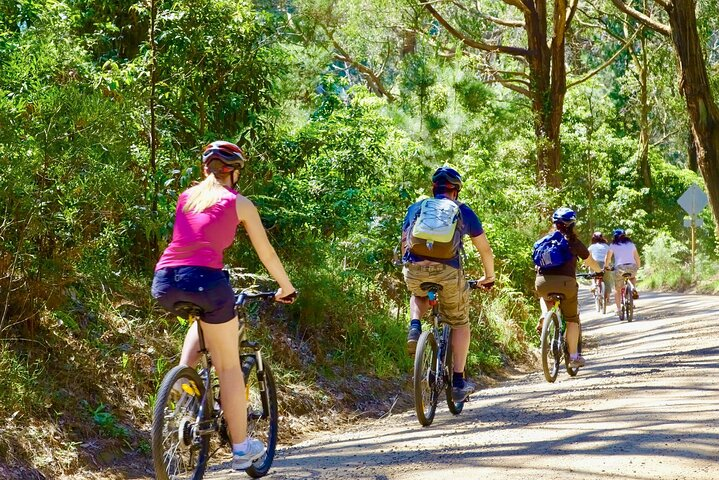 Urban Jungle Trail Cycling Tour from Colombo - Photo 1 of 6